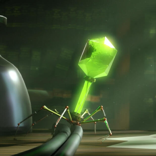 SUMMER CHALLENGE 2025